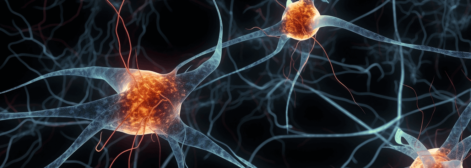 bienfaits safran cerveau