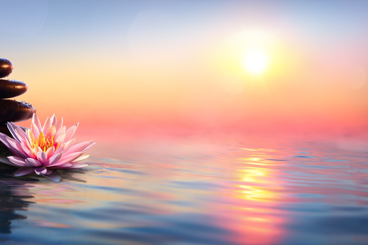 stress solutions effet safran naali