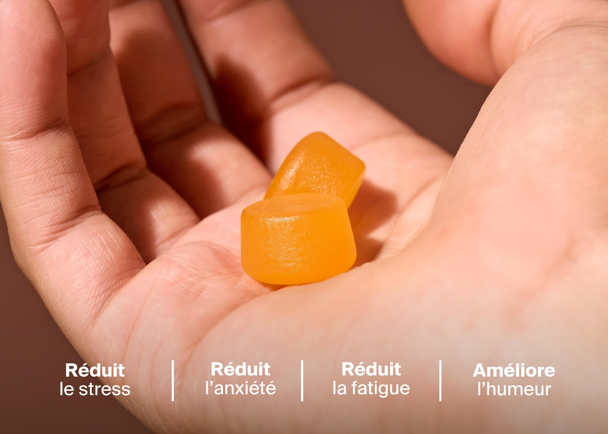 Gummies Anti-Stress au safran x3
