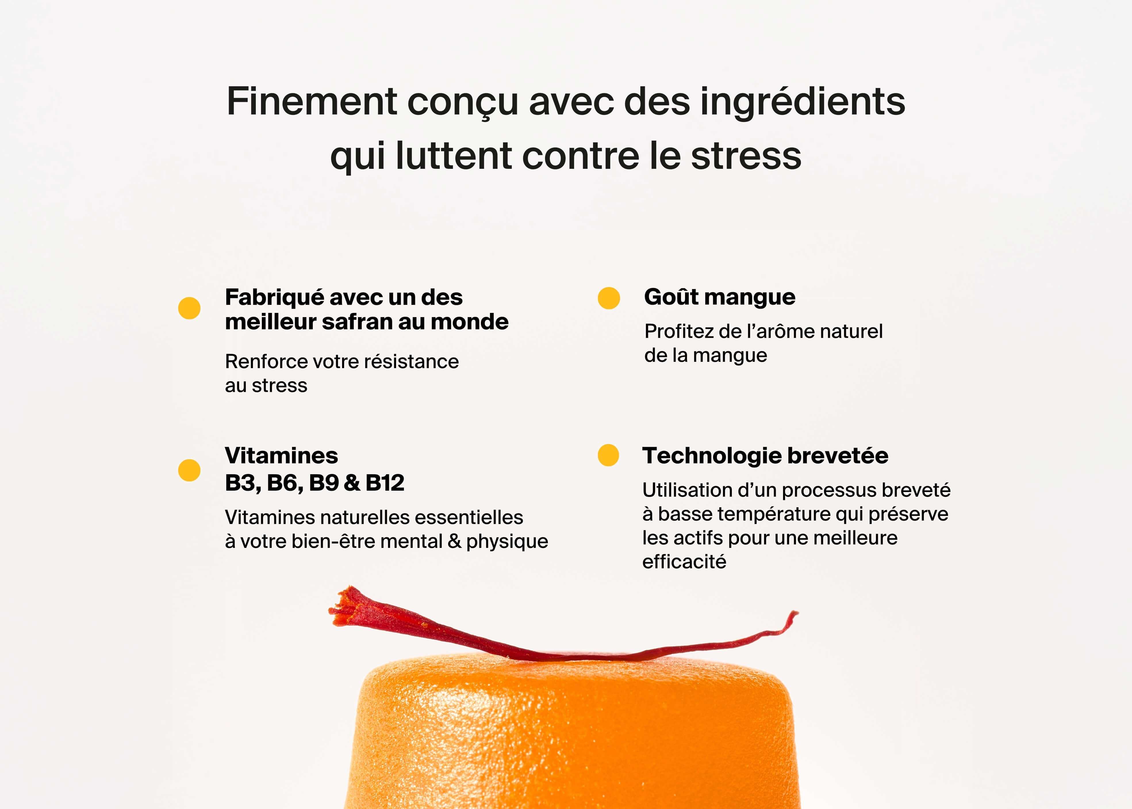 Gummies Anti-Stress au safran x3